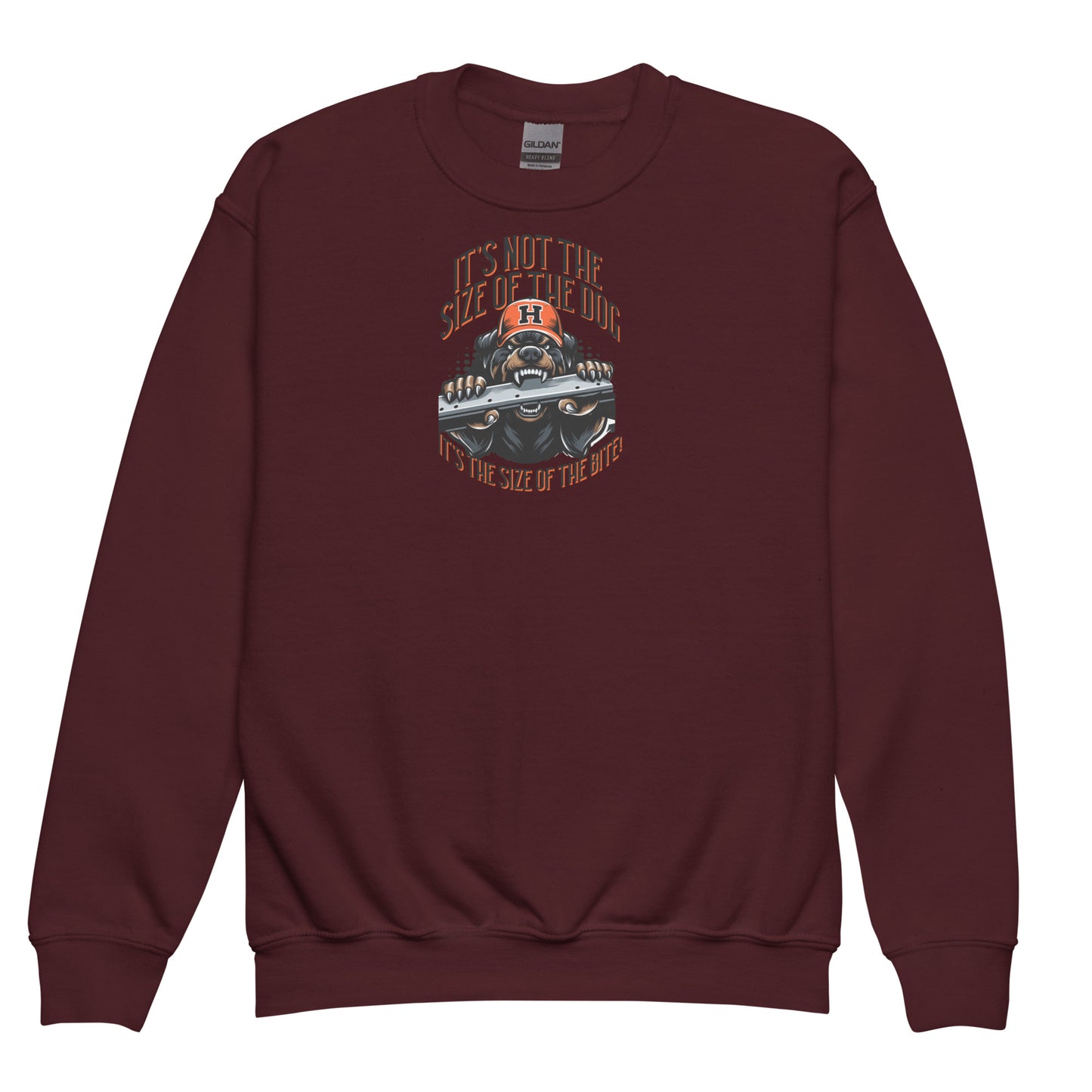 Size of the Dog kid sweatshirt
