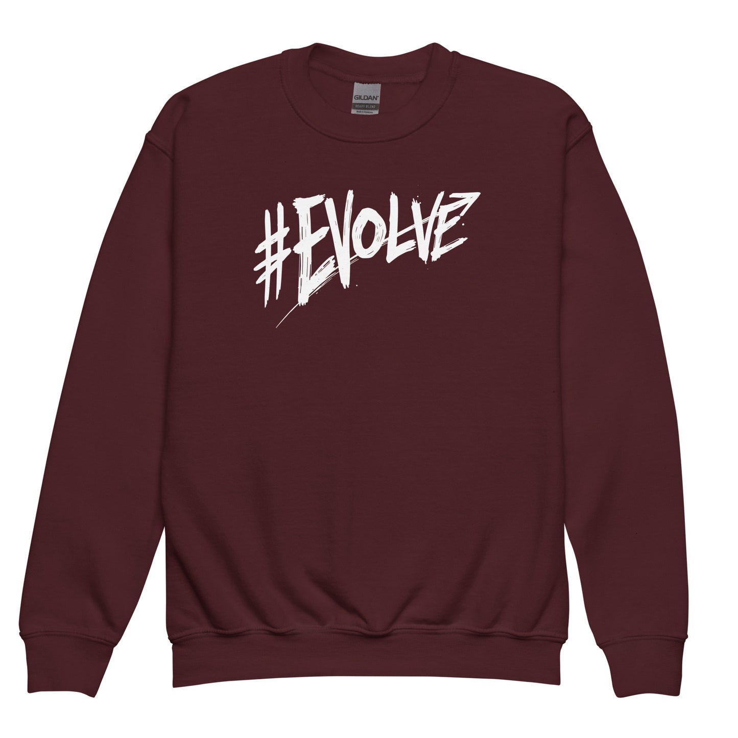 Evolve Kids sweatshirt